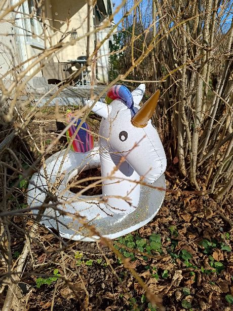 Gummieinhorn im Gebüsch liegend